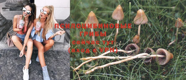 бошки Михайловка