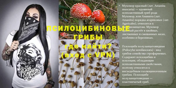 каннабис Алзамай