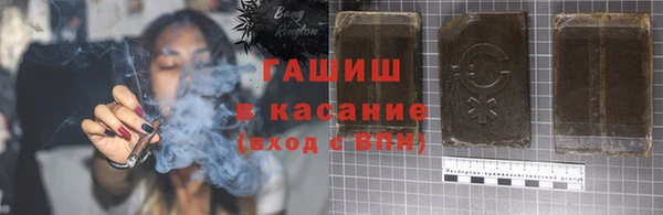индика Абаза