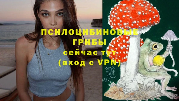 бутират Алексин