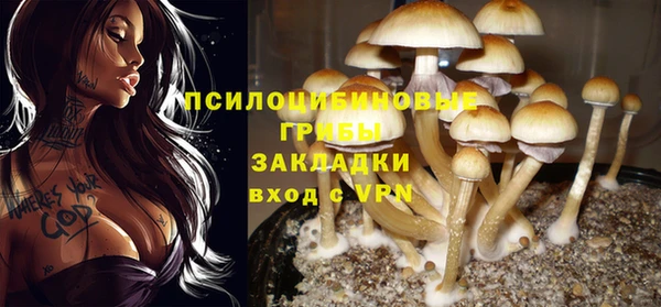 a pvp Абинск