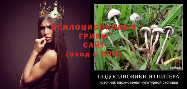 индика Абаза