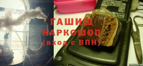 индика Абаза