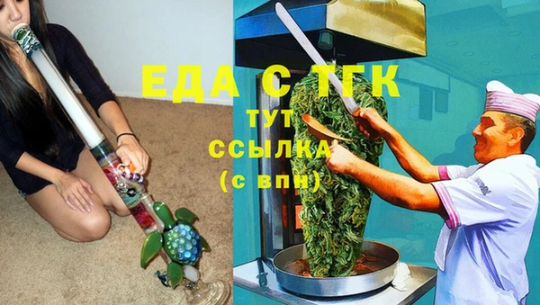индика Абаза